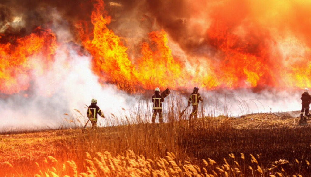 As number of wildfires explode, expert says mitigation is possible