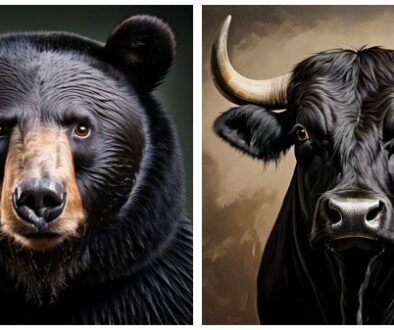 Bull or bear? What are financial advisors’ market expectations for 2025?