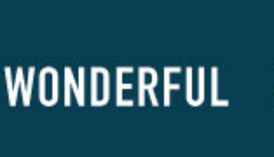 Long-term Care Insurance Sales Playbook: Strategies & Scripts for Agents