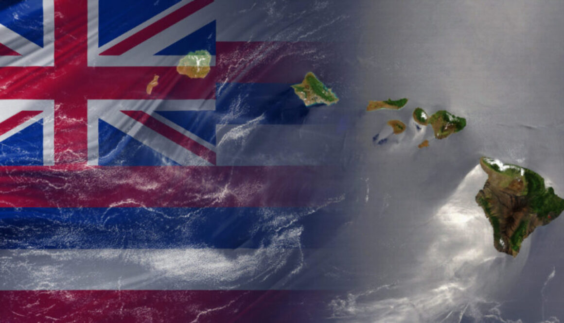 Hawaii’s high court sides with AIG in climate change lawsuit
