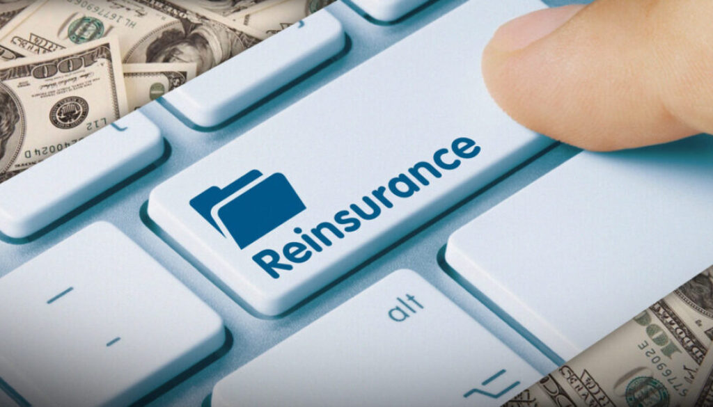 Regulators to vote on disclosure-only reinsurance asset testing guideline
