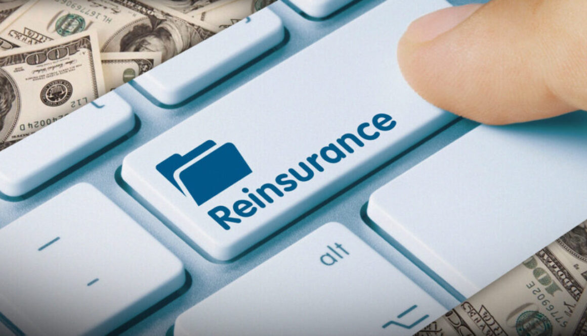 Regulators to vote on disclosure-only reinsurance asset testing guideline
