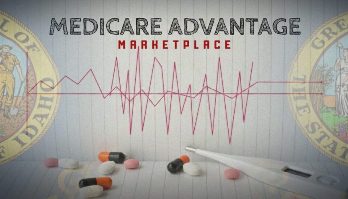 Stabilize the Medicare Advantage marketplace, Idaho director tells NAIC